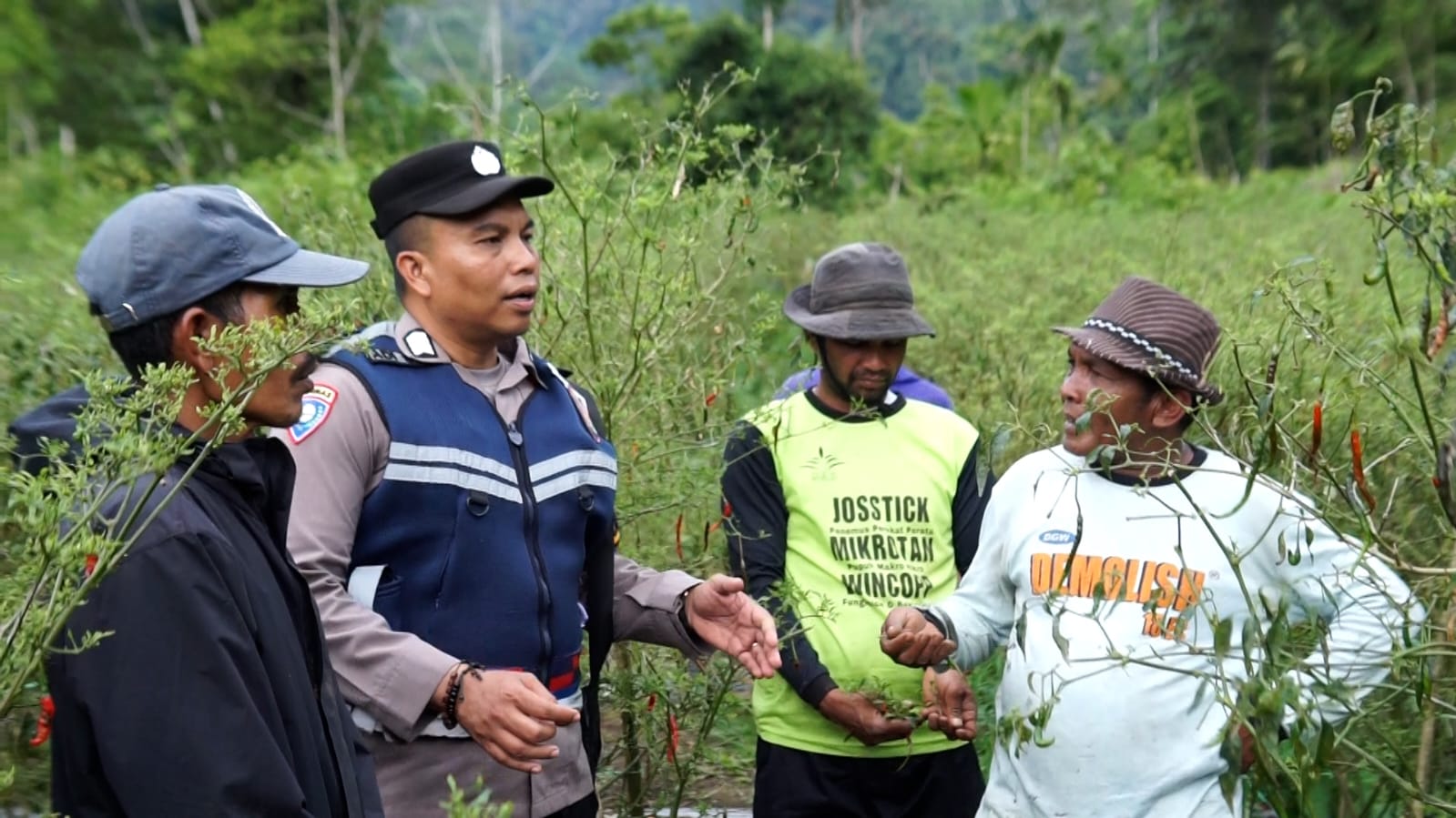 Bripka Adi Syafnur Arisal, Polisi di Aceh yang Inspiratif Mengubah Lahan Ganja jadi Lahan Palawija