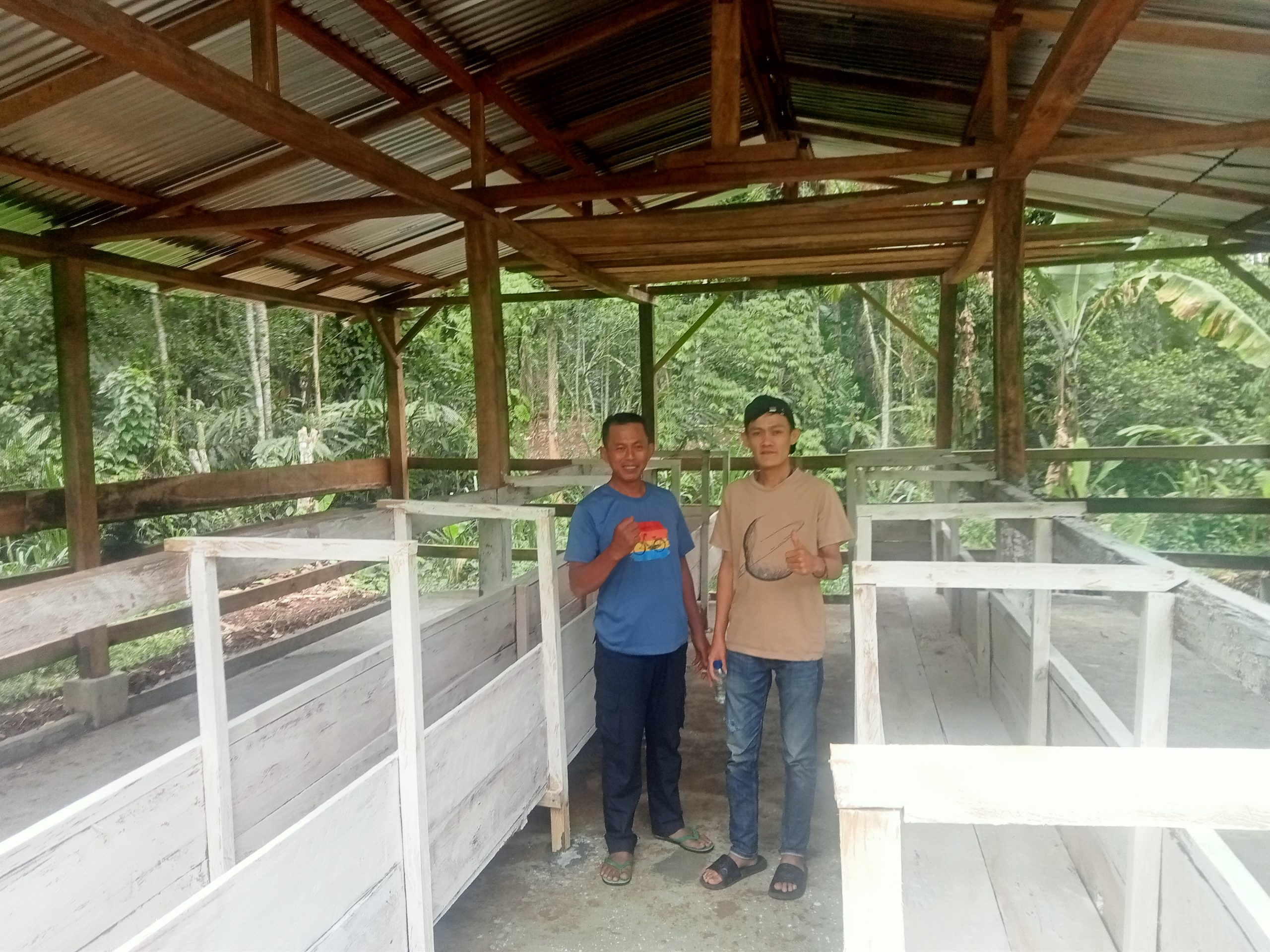 IMG20251112115134