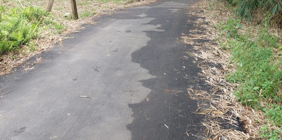 Ada Aroma Bau Korupsi. !!! Perbaiki Jalan Kehidupan Yang Menghubungkan Kelurahan Way Mengaku Dan Kelurahan Pasar Liwa