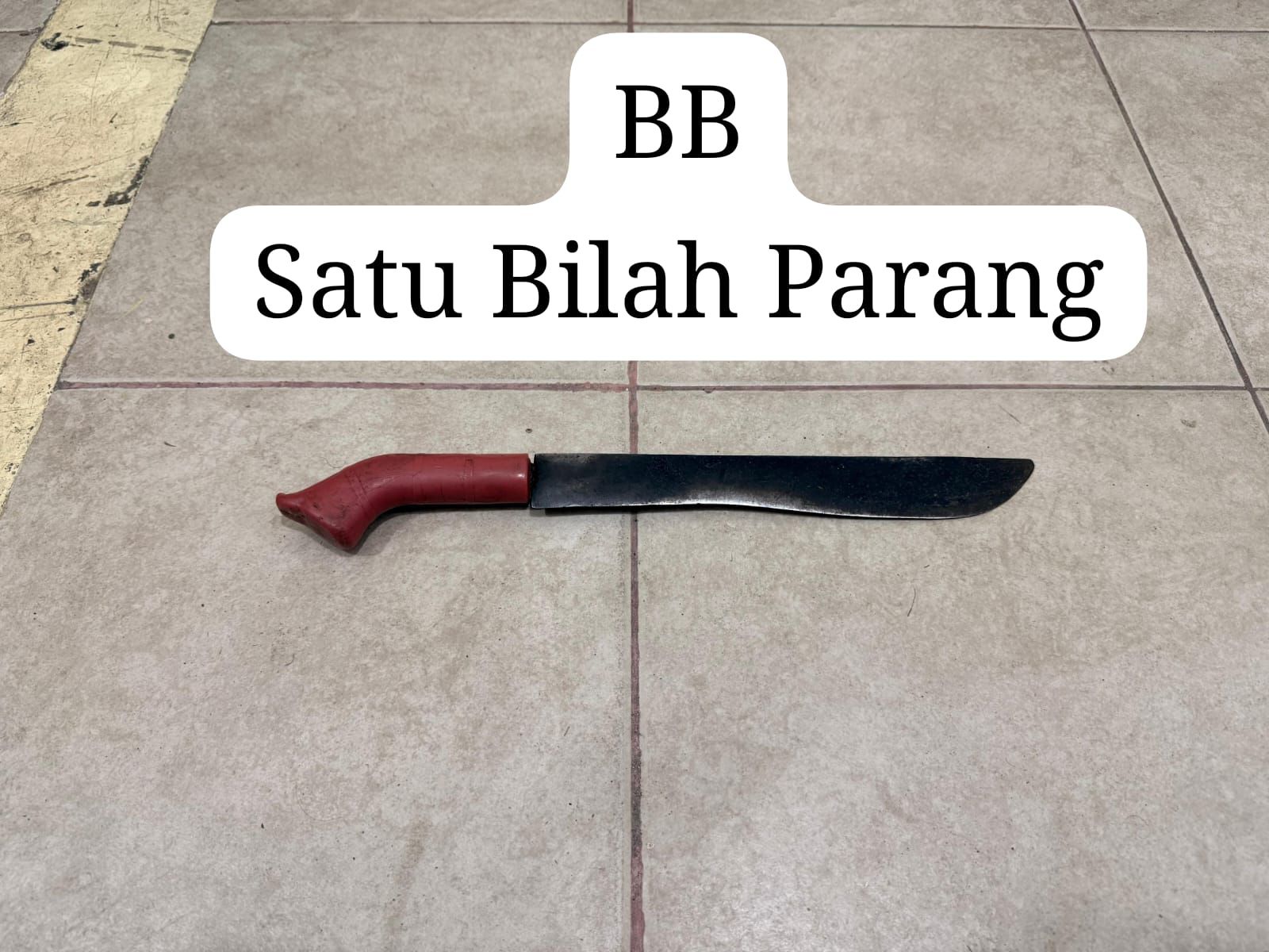 IMG 20260412 WA0004