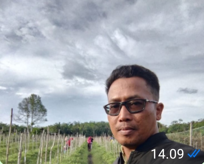 BUMDES Mahkota Damai Panen Cabe Rawit ke-15, Dukung Ketahanan Pangan Desa Damai